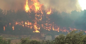 Üniversite analizi: Manavgat yangını Türkiye’deki en büyük yangın felaketi oldu