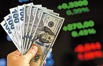 Dolar/TL'de yukarı yönlü dalgalı seyir