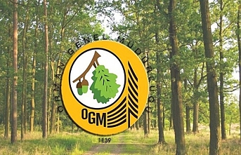OGM'de havacılık dairesi kuruldu