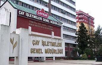 ÇAYKUR, üçüncü sürgün yaş çay alımlarına başladı