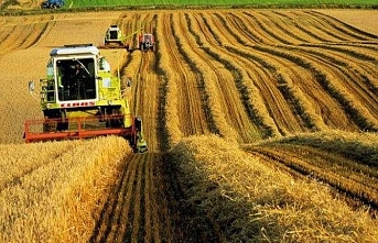 Tarım üretici enflasyonu zirveden geriledi