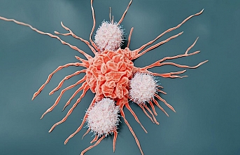Erkeklerde ve kadınlarda en çok görülen kanser türleri