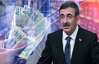 Yılmaz'dan enflasyon açıklaması: Temmuz'da daha yüksek gelebilir
