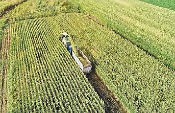 Tarımdaki üretici fiyatları bir ayda yüzde 2 arttı