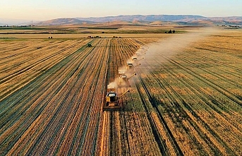 Tarlası ve arsası olanlar dikkat! Hükümet harekete geçti: Boş bırakmak yok