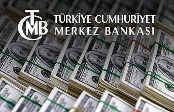 Merkez Bankası rezervleri 141 milyar milyon dolar oldu