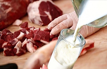 Et ve süt ürünlerine karşı alerji yapan hastalık dünyaya yayılıyor