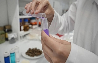 Şeker pancarı kirli suların şifası olacak: Yüzde 100 başarı sağlandı