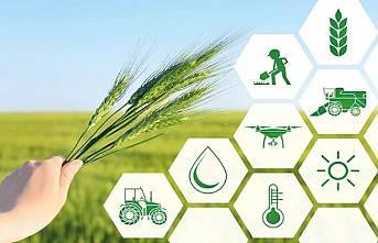 Tarımsal üretime yönelik Hazine destekli finansmana ilişkin limitler yeniden belirlendi