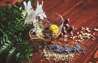 Bitki koruma ürünlerinin satışında yeni dönem