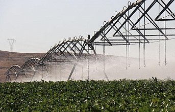 DAP Bölge Kalınma İdaresi 12 yılda 2 bin 86 projeye destek verdi