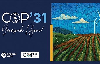 Türkiye COP31'de iklim diplomasisine öncülük edecek