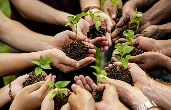 2025'te 517 milyon fidan ve tohum toprakla buluştu