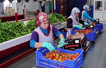 Tarımda tüm zamanların en yüksek yıllık ihracatı