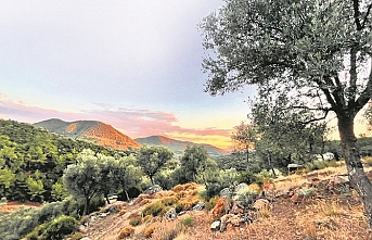 İklim alarm veriyor: İki derecelik artış, Türkiye'de hangi bölgeleri daha sert vuracak?