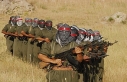 Terör örgütü PKK kendini feshetti