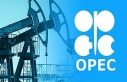 OPEC+ üyesi ülkeler prensipte anlaştı: Petrol...