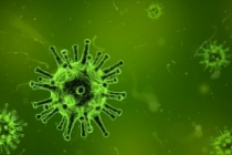 İnsüline benzer hormonlar üreten virüsler keşfedildi