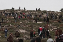 İsrail askerlerinden 'zeytin ağacı diken Filistinlilere' müdahale