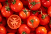 Rusya'nın domates kısıtlamalarına tepki büyüyor
