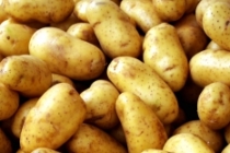 TZOB Başkanı Bayraktar: Patates tüketelim