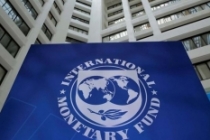 Türkiye'ye IMF'te önemli görev