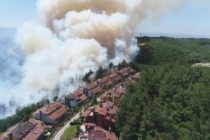 Bursa'da yangın: Yerleşim yerlerine doğru ilerliyor