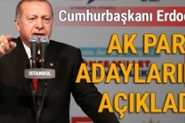Cumhurbaşkanı Erdoğan, AK Parti adaylarını açıkladı