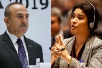 Çavuşoğlu dış politikada Türk halkının sesi oldu