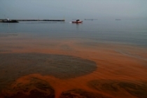 Marmara Denizi'nin rengi değişti