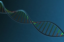 İnsan DNA'sının müziği notalara döküldü