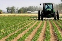 'Tarıma yönelik kredi paketiyle gıda enflasyonu dengelenir'