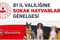 İçişleri Bakanlığı'ndan sokak hayvanları için genelge