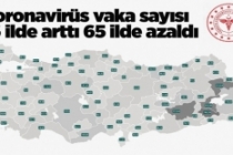 Koronavirüs vaka sayısı 16 ilde arttı, 65 ilde azaldı: En çok artan, azalan 5 il