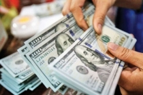 Merkez Bankası anketinde yıl sonu dolar/TL beklentisi yükseldi