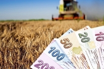 Tarım Kredi, üreticinin borçlarını yapılandırıyor