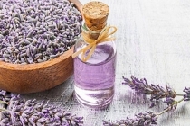 Tıbbi aromatik ve süs bitki yetiştiriciliğine Hazine desteği