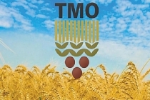 TMO, 210 bin ton buğday için teklif aldı