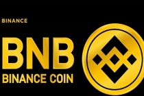 SEC, BNB’yi mercek altına aldı