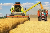 Buğday fiyatları, Odessa saldırısı nedeniyle yükseldi