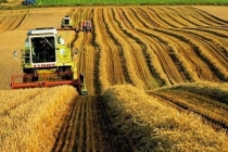 Tarım üretici enflasyonu zirveden geriledi