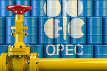 OPEC+ delegeleri Şubat üretim tahminini açıkladı