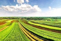 Tarım arazilerinin etkin kullanımına yönelik proje başlatılıyor