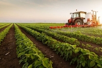 Tarımsal girdi enflasyonda yüzde 100'ün üzerinde artış