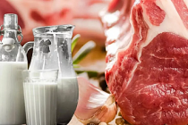 TCMB raporu açıklandı: Sebze, kırmızı et ve süt ürünlerinde artış durdurulamıyor