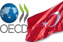 Türkiye, OECD'nin en yüksek oranda büyüyen ikinci ülkesi