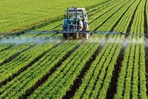 Organik ve iyi tarım uygulamalarına 2,1 milyar lira destek sağlandı