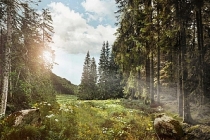 Ormanlar ve köyler ülkeye "ekoturizm" ile katkı sağlayacak