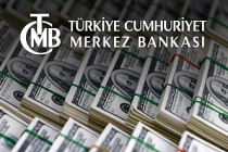 Merkez Bankası rezervleri 141 milyar milyon dolar oldu