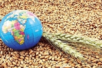 Tahıl fiyatlarında kuzey yarımküre baskısı